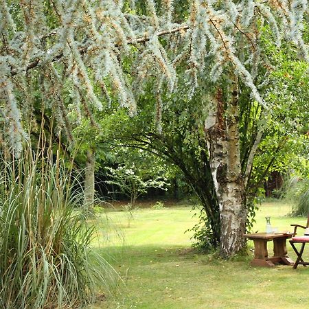 Bed and Breakfast Au Plech Mont-d'Astarac Esterno foto