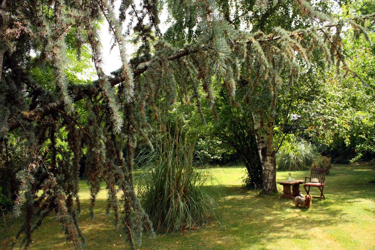 Bed and Breakfast Au Plech Mont-d'Astarac Esterno foto